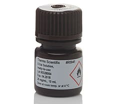 X-Gal Solution  ready-to-use, 10 mL